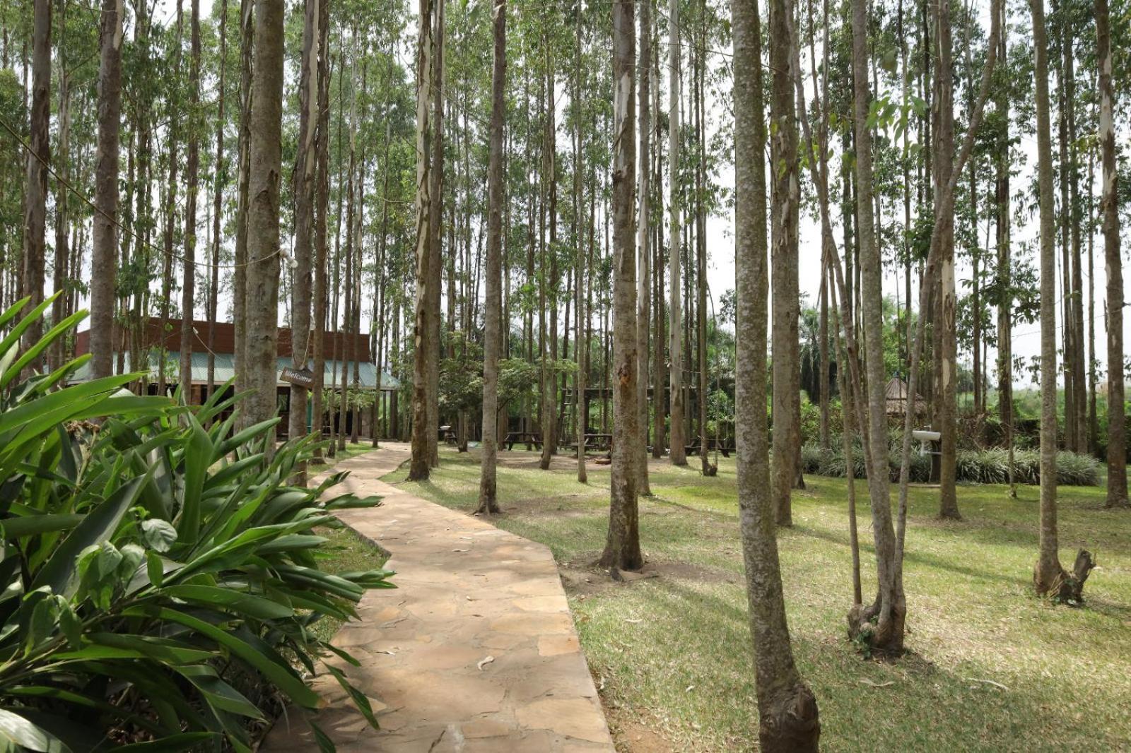 Kabalega Resort - Masindi エクステリア 写真